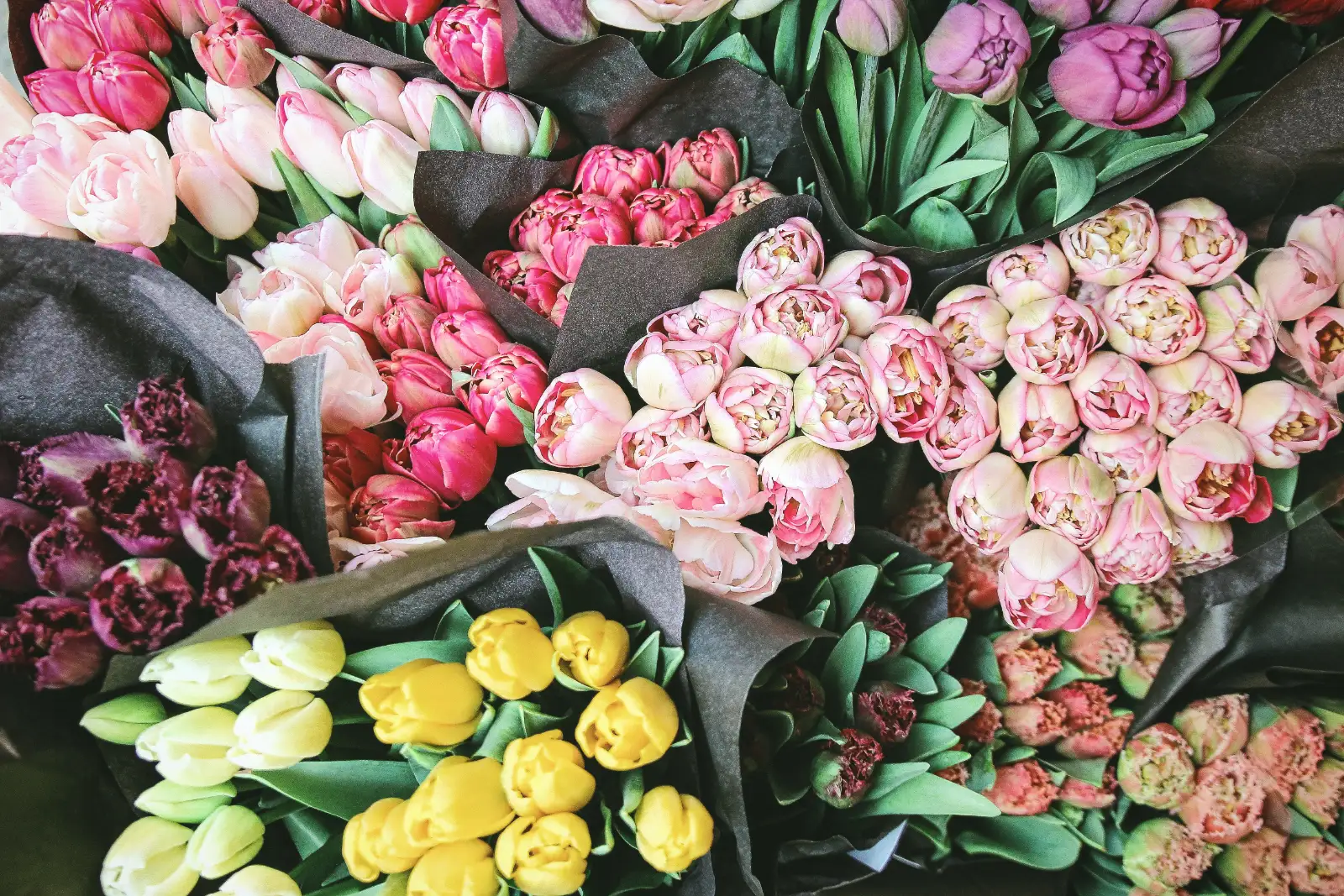 Bunches of pink, yellow and white tulips wrapped in paper